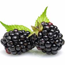 Blackberries
