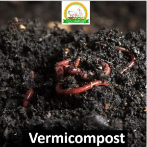 Vermicompost